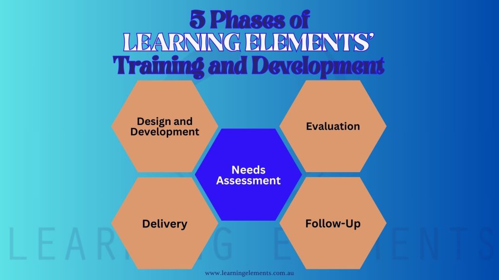 What are the 5 phases of our training and development