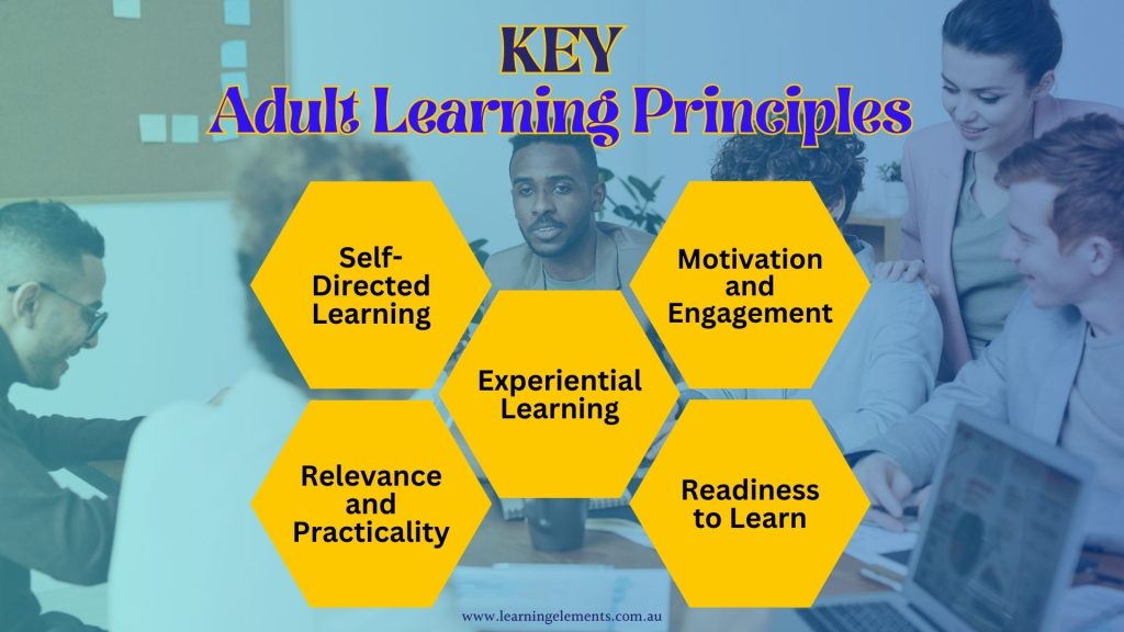 What Are the Key Principles of Adult Learning and Experiential Learning