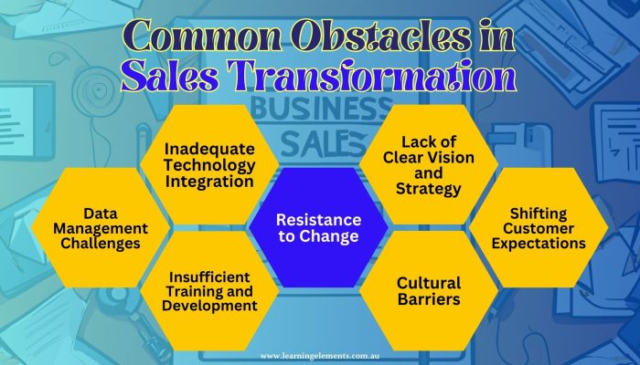 Key Challenges in Sales Transformation -Identifying Common Obstacles Businesses Face When Undergoing Sales Transformation and Strategies to Overcome Them