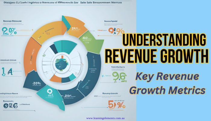 Strategies for Revenue Growth - Practical Tips and Techniques for Increasing Revenue Through Effective Sales Strategies and Business Optimisation