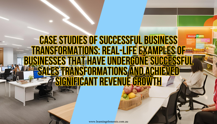 Case Studies of Successful Business Transformations - Real-Life Examples of Businesses That Have Undergone Successful Sales Transformations and Achieved Significant Revenue Growth